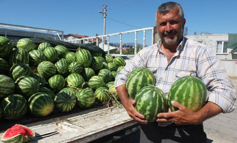 Burhaniye’de karpuz yüz güldürdü 1 AW947718 01 |