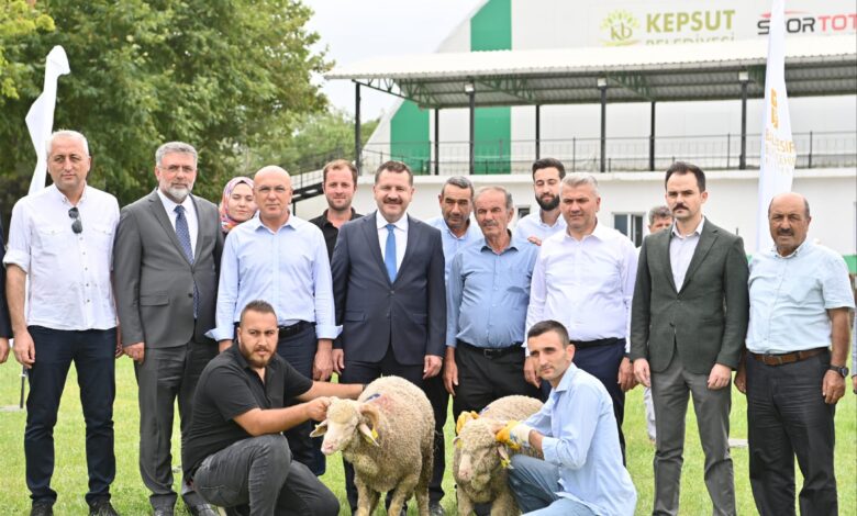 85 üreticiye 585 küçükbaş desteği 1 kucukbas destegi 7 |