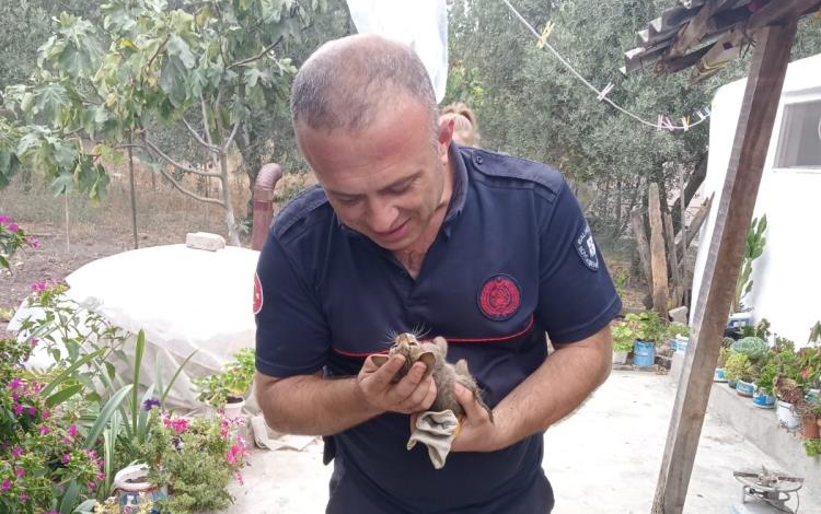 Kuyuya düşen yavru kediyi itfaiyeciler kurtardı 1 unynn61u |