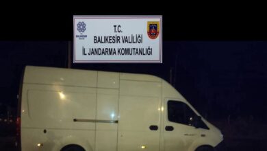 AW049005 01 |
