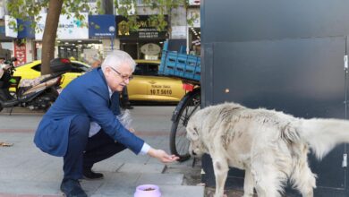 BASKAN DEVECILER DUNYA HAYVANLARI KORUMA GUNUNU HAYVANSEVERLER ILE KUTLADI 1 |
