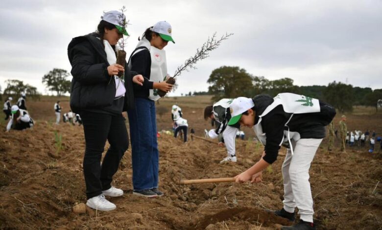 Balıkesir’de fidanlar toprakla buluştu 1 AW074405 01 |