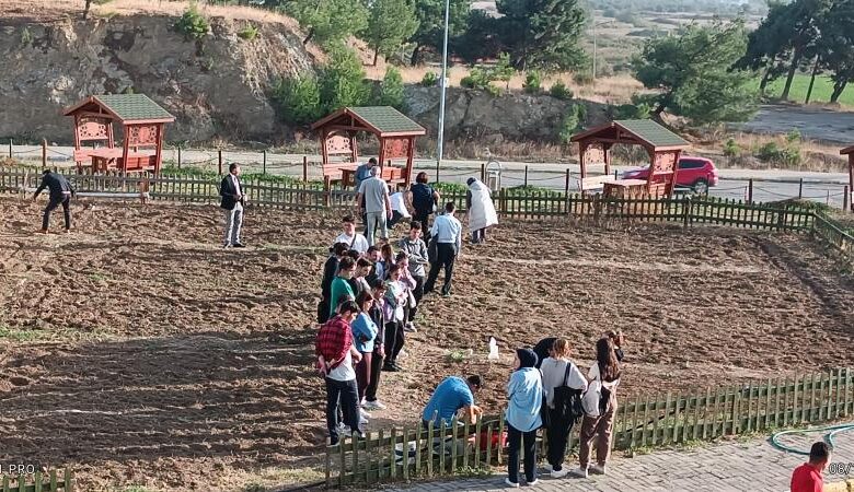Burhaniye Uygulamalı Bilimler Fakültesi'nde sebze yetiştirilecek 1 AW075681 01 |