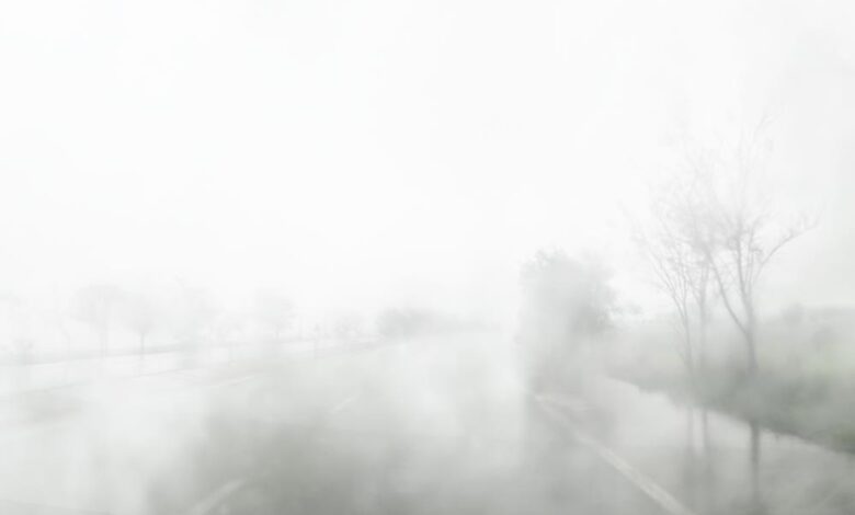 AW075810 01 |