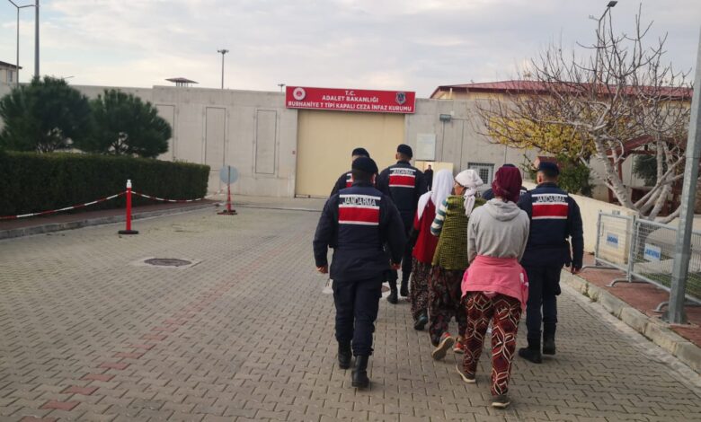 WhatsApp Image 2023 12 20 at 16.53.10 |