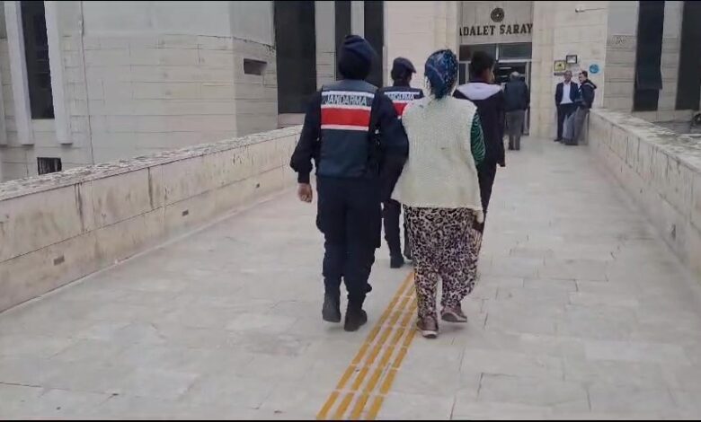 Jandarmadan zeytin hırsızlarına gece baskını...2 kişi gözaltına alındı 1 jandarmadan zeytin hirsizlarina gece baskini2 kisi gozaltina alindi a82ad27 |