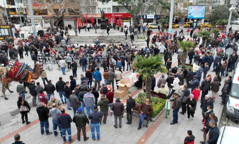 19 burhaniye zeytin ve zeytinyagi hasat festivali basladi 2166fc8 |