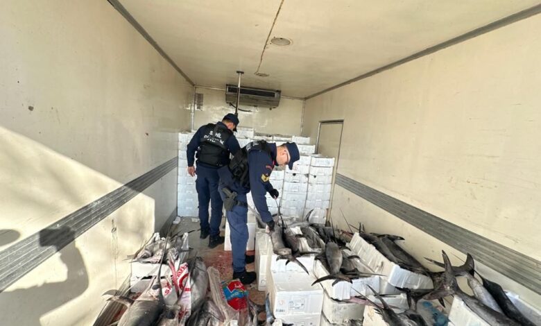 Burhaniye'de avlanması yasak mavi yüzgeçli orkinos yakalandı 1 WhatsApp Image 2024 01 19 at 11.39.04 |