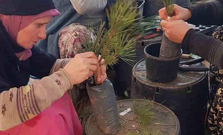 balikesir ormanlarinin genetik formasyonu gelecege tasinacak ab14322 |