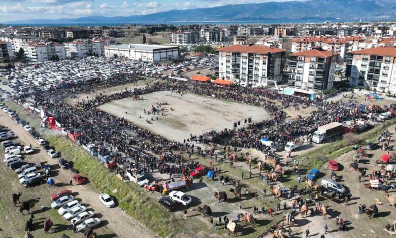balikesirde deve guresini binlerce kisi izledi 1ce7d95 |