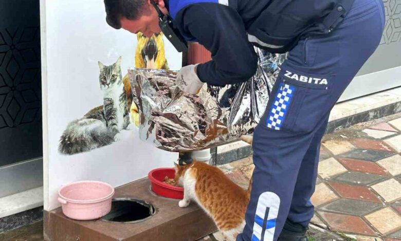 ezine belediyesi zabita mudurlugunden ornek davranis soguk kis gunlerinde can dostlari unutulmadi 5925884 |