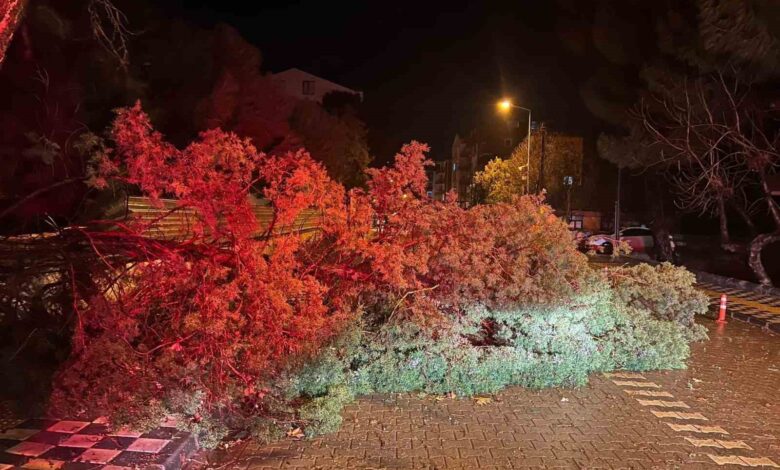 ezinede firtina nedeniyle agac devrildi kapanan yol belediye ekiplerince acildi 614226a |