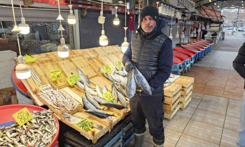 marmaradaki firtina balik fiyatlarini etkiledi 61eed4b |