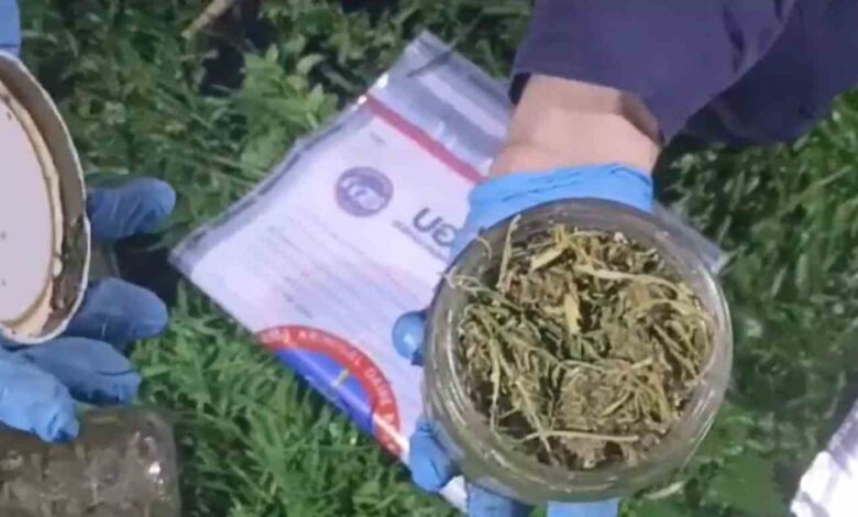 10 ayri kavanoz icinde bin 283 gram kubar esrar ele gecirildi 8b4053d |