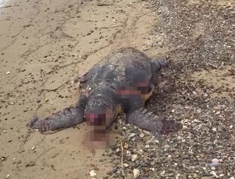 AW141740 01 e1707924838351 |