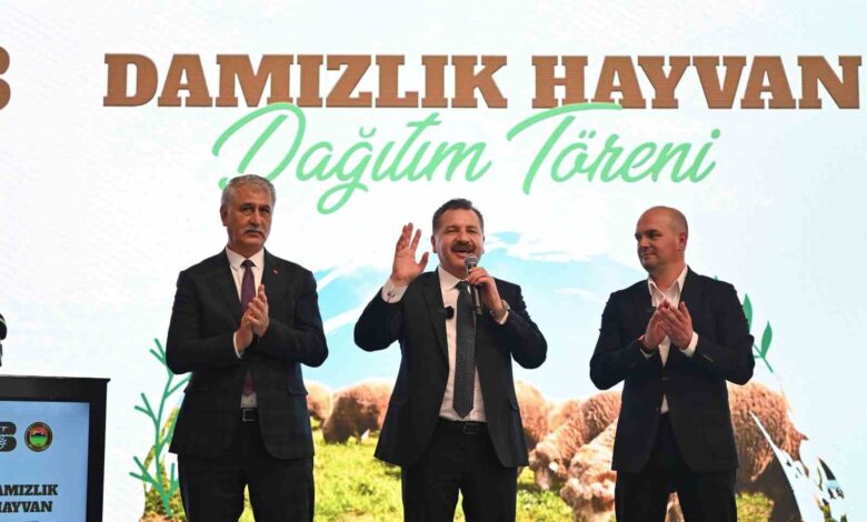 Balıkesir Büyükşehir Belediyesi, Savaştepe’de 550 küçükbaş dağıttı 1 balikesir buyuksehir belediyesi savastepede 550 kucukbas dagitti ecca5ed |