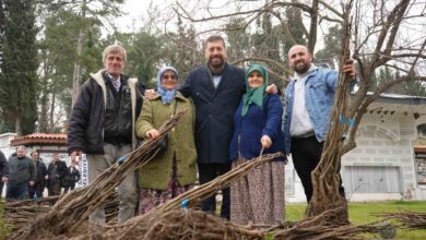 balikesir buyuksehirden sindirgiya 16 bin ceviz ve badem fidani 72bab69 |
