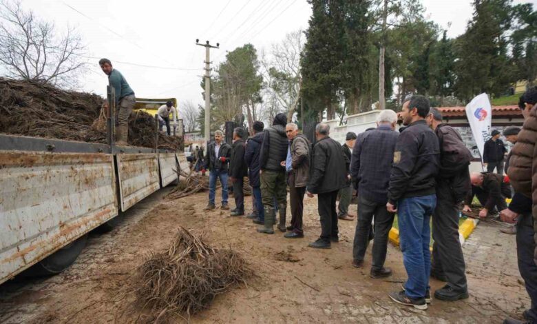 balikesir buyuksehirden ureticilere meyve fidani destegi 15416f7 |