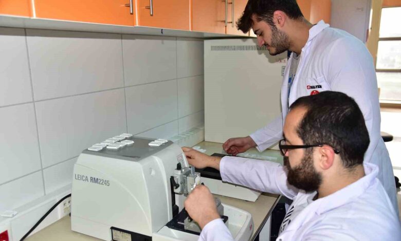 BAÜN Veteriner Teşhis ve Analiz laboratuvarına çalışma izni 1 baun veteriner teshis ve analiz laboratuvarina calisma izni 1141fd3 |