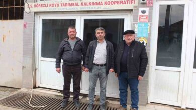 borezli de birlikten kuvvet dogdu 07a948f |