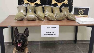 canakkalede piyasa degeri 6 milyon tl olan 11 kilo 900 gram sentetik kannabinoid ele gecirildi 0cee5b0 |