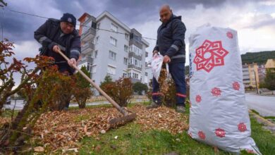 kareside budanan dallar gubre oluyor 279ebbf |