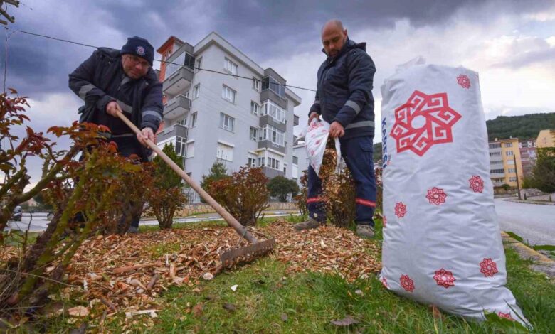 Karesi’de budanan dallar gübre oluyor 1 kareside budanan dallar gubre oluyor 279ebbf |