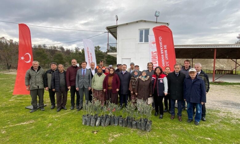 Orman yangınlarında zarar gören üreticilere 9 bin zeytin fidanı dağıtıldı 1 orman yanginlarinda zarar goren ureticilere 9 bin zeytin fidani dagitildi 7c5c270 |