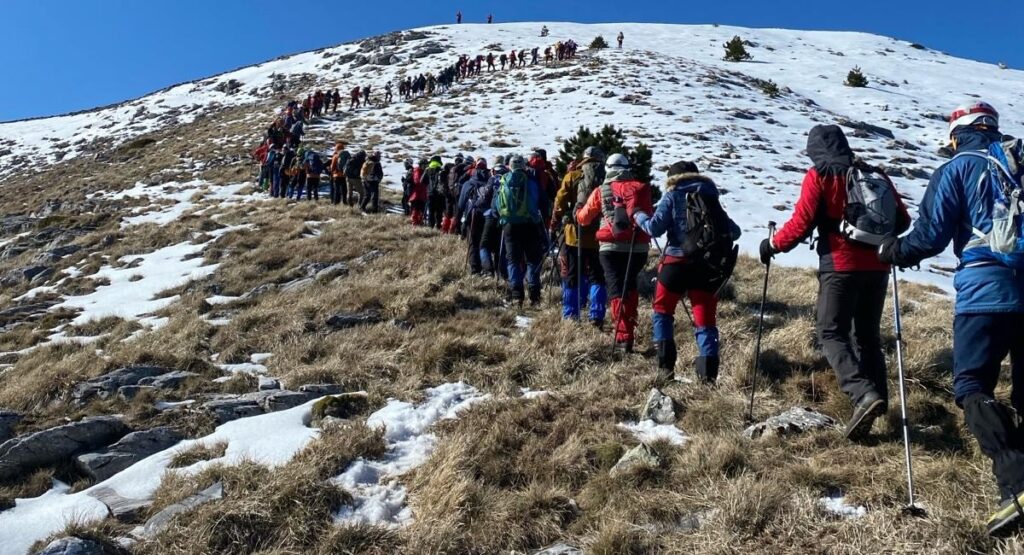 WhatsApp Image 2024 03 19 at 12.29.00 |