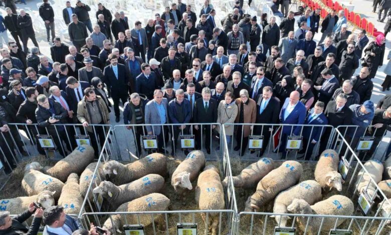 bakan yumakli balikesirin potansiyeli bizim bu zamana kadar tahayyul ettiklerimizin daha otesinde d81f821 |