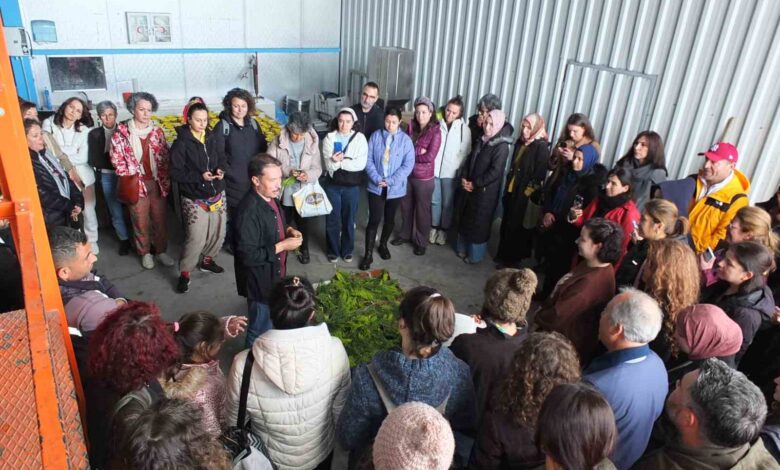 balikesirde tibbi aromatik bitki yetistiriciligi kurslarina yogun ilgi e2054de |