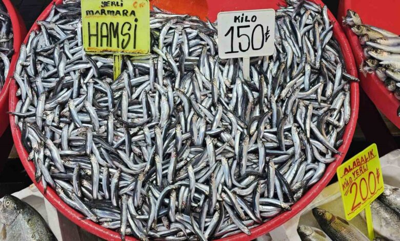 Bandırma’da hamsinin fiyatı düştü 1 bandirmada hamsinin fiyati dustu 990265c |