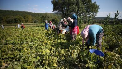 gmka destek verdi kadin uretimi ve istihdam guclendi dcbf8c6 |