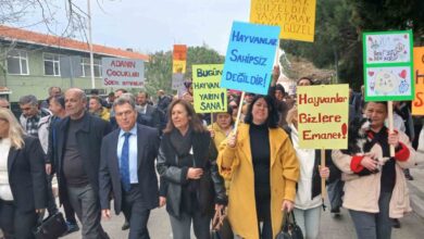gokceadada sokak hayvanlarinin zehirlenmesine tepki 5320fa4 |