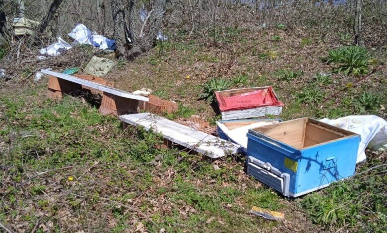 Gönen’de arı kovanları ayılar tarafından parçalandı 1 gonende ari kovanlari ayilar tarafindan parcalandi 3d7e489 |