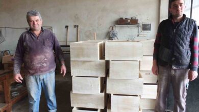 havranli marangoz basarili kovan ureticisi oldu 78e27f5 |