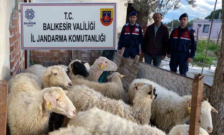 jandarma eft dolandiricilarini yakaladi 391937d |