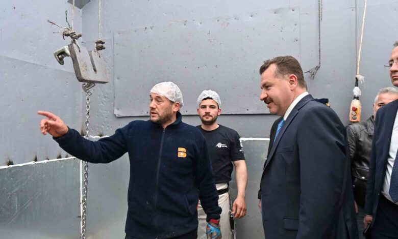 mezbaha yeniden buyuksehir belediyesine gecti 07221af |