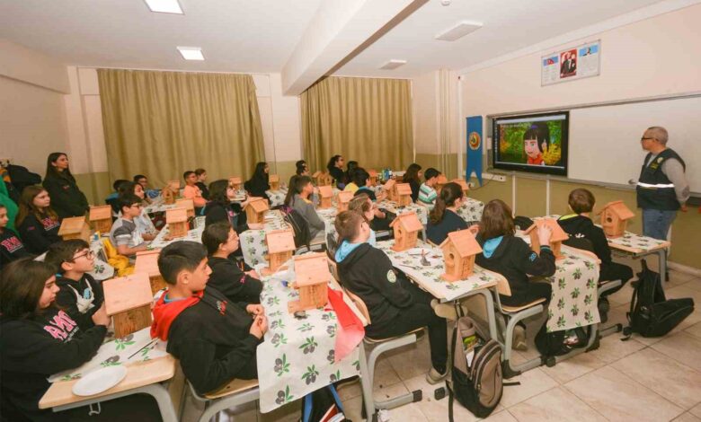 minik ogrencilerden ormandaki kuslara renkli yuvalar 4b112a4 |