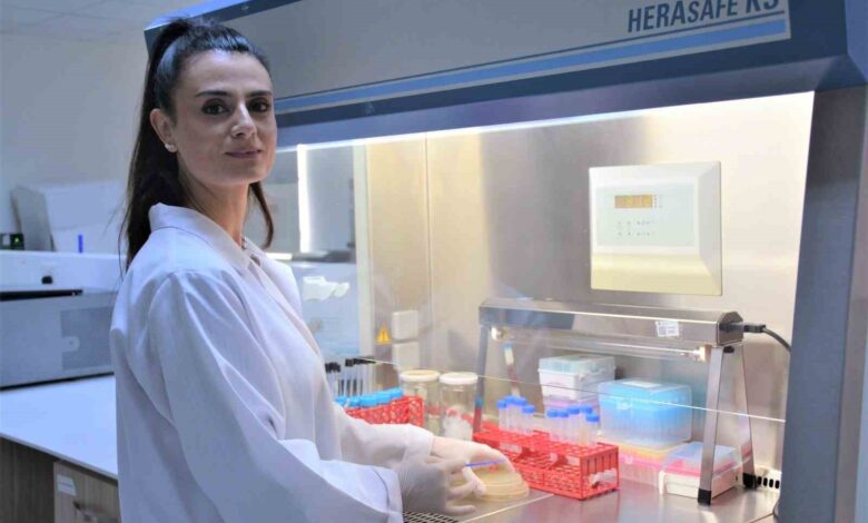 turk ve avustralyali bilim insanlarinin is birligi bakterilerle mucadelede cigir acacak b89d3d5 |