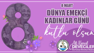 yarim sayfa web |