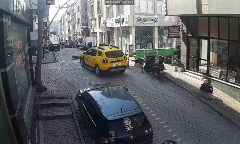 yol uzerinde yatan kopegin ustunden gecti b5d49b3 |