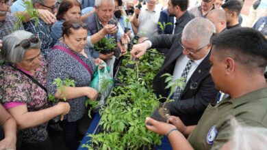 ata tohumlarindan fidanlar toprak ile bulusacak f1454ca |