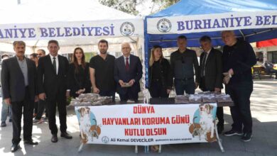 baskan deveciler dunya sokak hayvanlari gununu hayvan severler ile kutladi 822c2f5 |