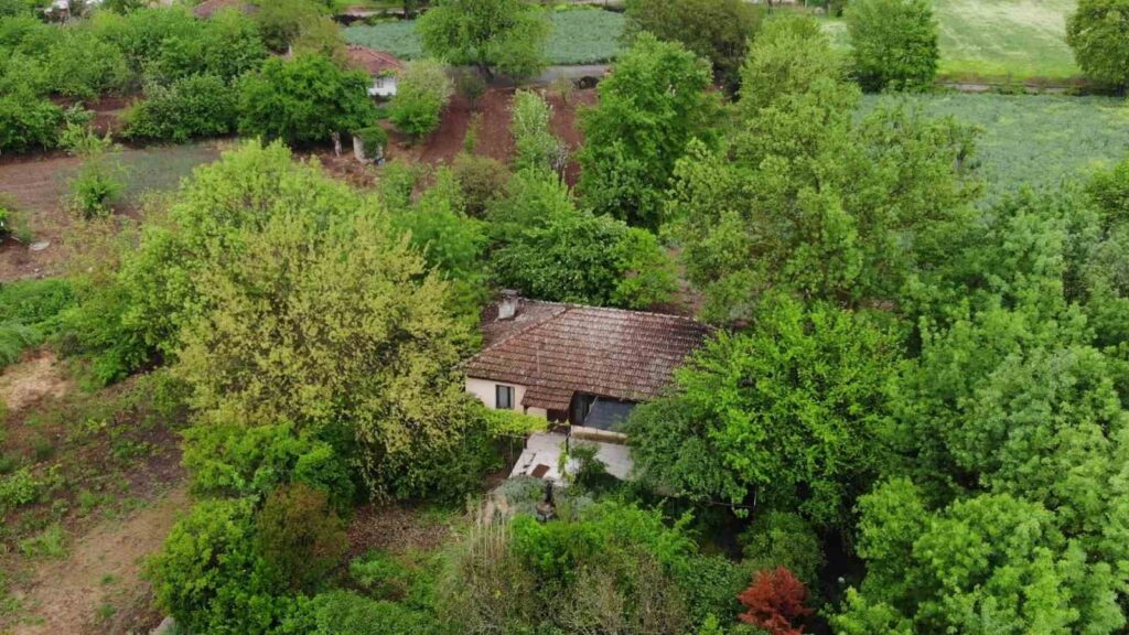 berzeg sendromu mahalleyi bosaltti 0de1de8 |