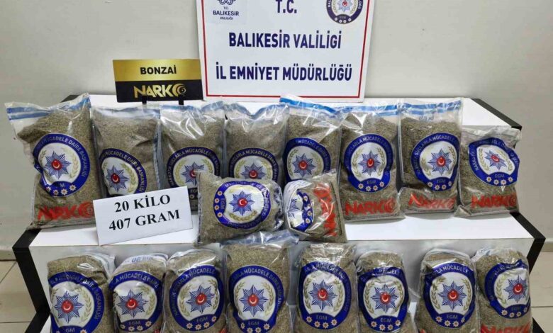 cay dediler bonzai cikti 3cfc748 |