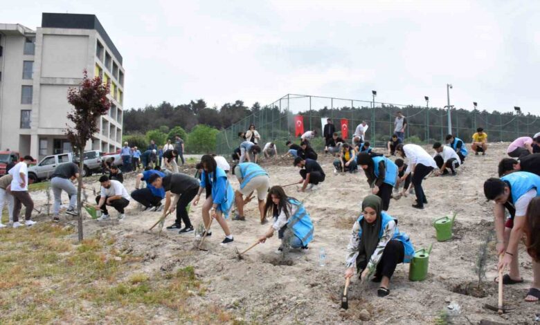 kiz ogrenci yurdunun cevresine yeni fidanlar dikildi 279ebbf |