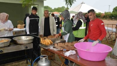 bigadicde altikaraagac dedesi hayri yapildi c409ec9 |