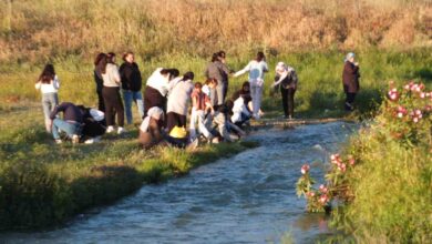 burhaniyede hidirellez kutlandi 11883d2 |