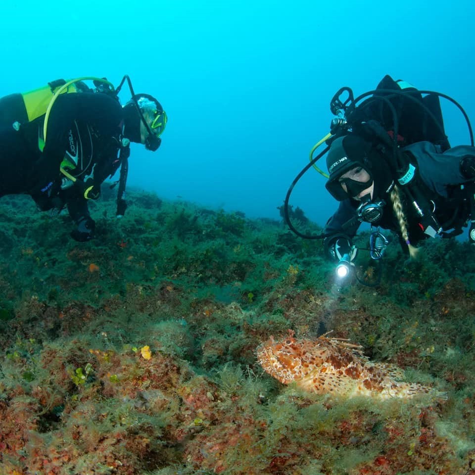 gelibolu su alti parkinda dalis sezonu basladi 880003e |